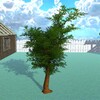 Tree Simulator icon