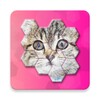 Cats Jigsaw! - Hexa Puzzle icon