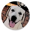 Icono de DogsQuiz