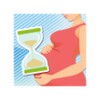 Baby Countdown icon