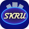 Icono de Skru