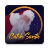 Catch Santa Claus In My House! icon