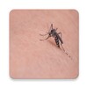 Mosquito Sound icon