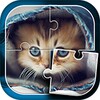 Cute Cats Jigsaw Puzzle icon