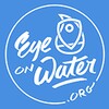 EyeOnWater - Colour icon
