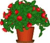 Desktop Plant icon