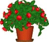 أيقونة Desktop Plant