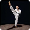 Icono de Taekwondo Basic Motions