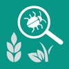 Agrobase - weed, disease, insect icon