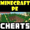 Icono de Trucos para Minecraft