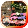Spring Flowers 2016 icon