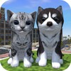 Cute Cat And Puppy World icon
