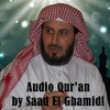 Audio Quran by Saad El Ghamidi icon