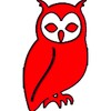 Hoot for Collins icon