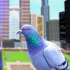 Icon von FlyingPigeonBirdsimulator