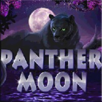 Panther Moon