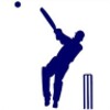 International Cricket icon