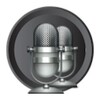 Stereo Audio Microphone icon