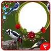 Woodpecker Insta DP icon