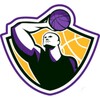 Икона Astonishing Basketball Manager