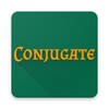 Conjugate icon