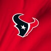 Icono de Texans