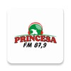 Icono de Princesa FM