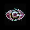 Big Brother: The Game icon