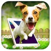 Dog in Phone icon