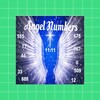 Angel Number Reader icon