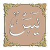 Yasin-i Sharif Zoom Audible icon