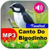 Icono de Canto De Bigodinho