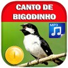 أيقونة Canto De Bigodinho