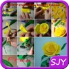 DIY Creative Craft Ideas icon