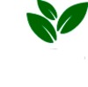 100 Plantas Medicinales icon