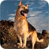 German Shepherd icon