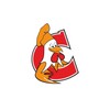 ไอคอน CTR Chicken