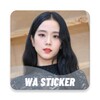 Jisoo Blackpink WASticker icon