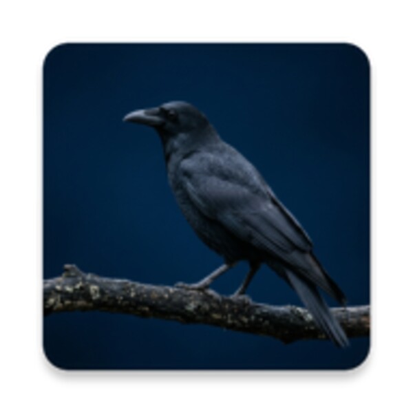 Crow Sounds for Android - Download the APK from Uptodown