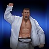 BeJJ: Jiu-Jitsu Game icon