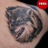 ไอคอน Wolf Tattoo