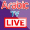 Arabic Tv icon