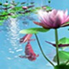 Arowana Paradise Trial icon