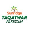 Taqatwar Pakistan icon