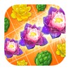 Blossom Legend icon