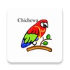 English chichewa dictionary icon