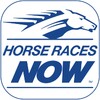 ไอคอน Horse Races Now