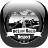 Radio Respect icon