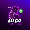 Icono de Litgo