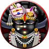 Shreenathji Darshan icon